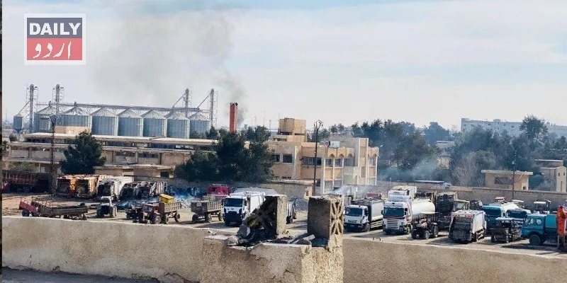دہشتگردی