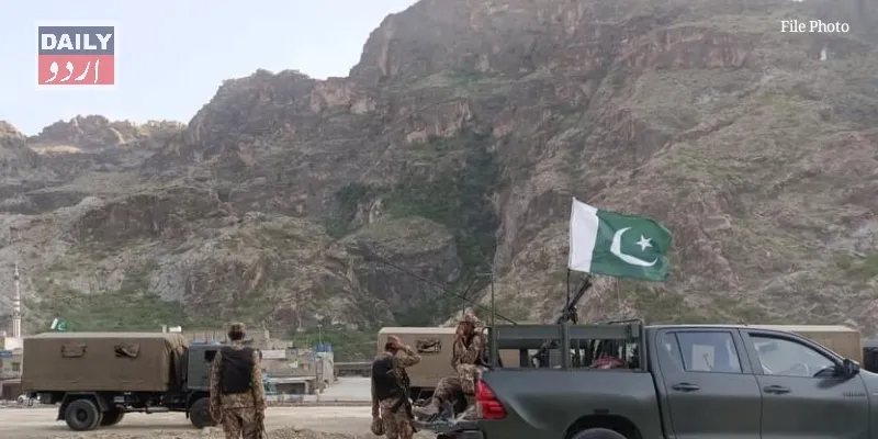 دہشتگردی