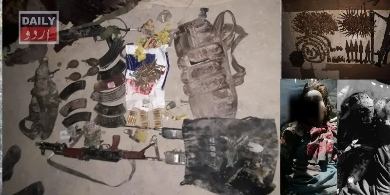 دہشتگردی