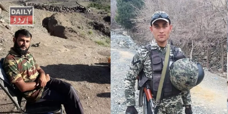 دہشتگردی