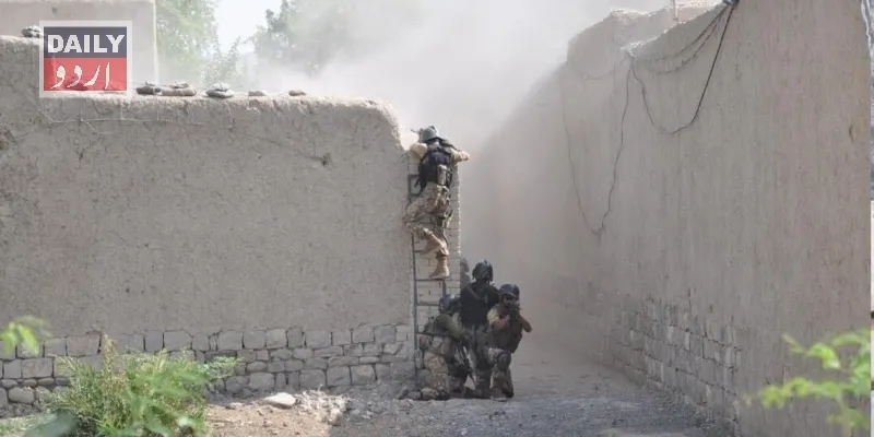 دہشتگردی