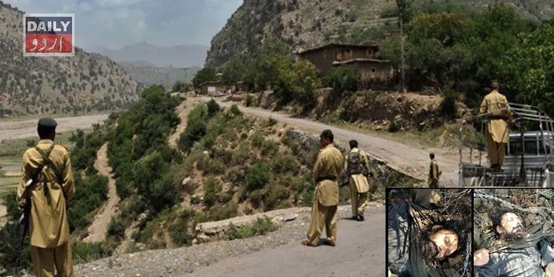 دہشتگردی