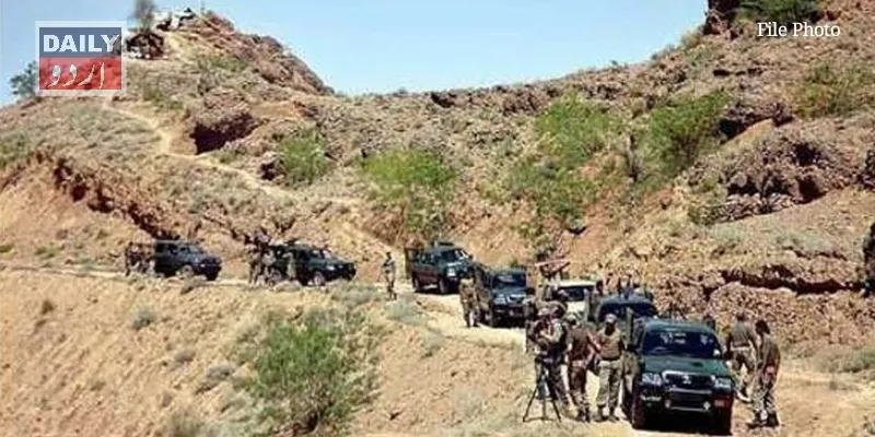 دہشتگردی