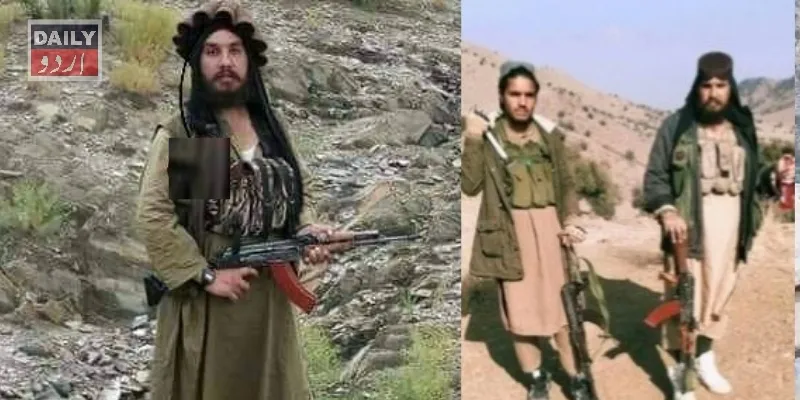 دہشتگردی