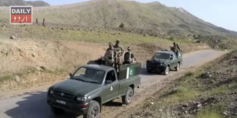 دہشتگردی