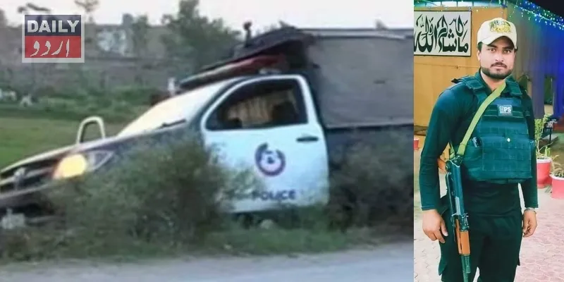 دہشتگردی
