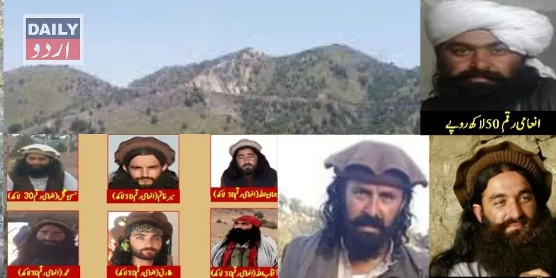 دہشتگردی