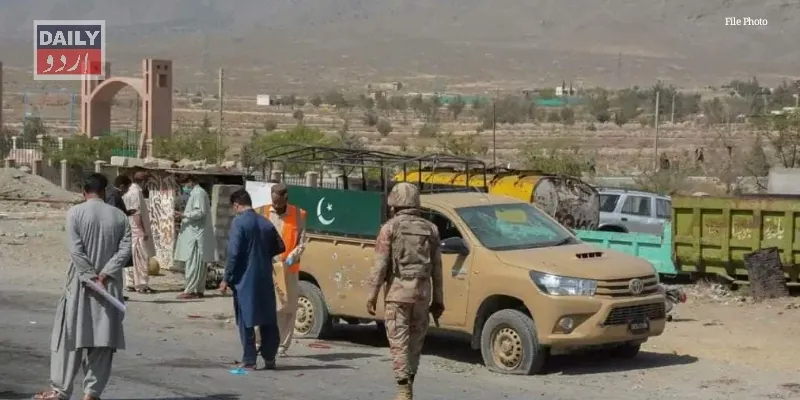 دہشتگردی