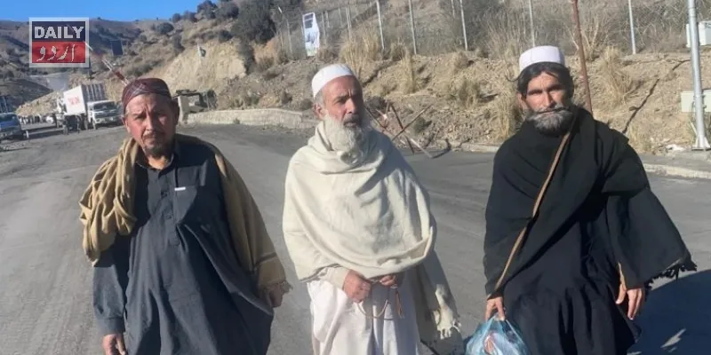 دہشتگردی