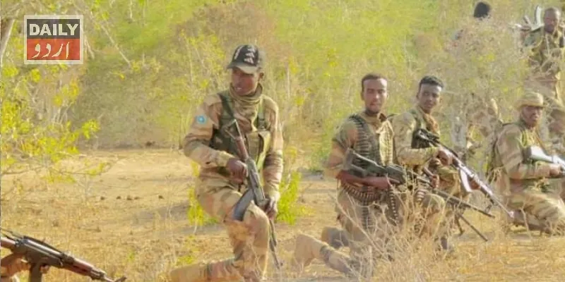 دہشتگردی