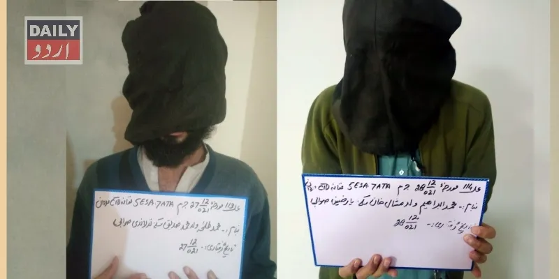 دہشتگردی