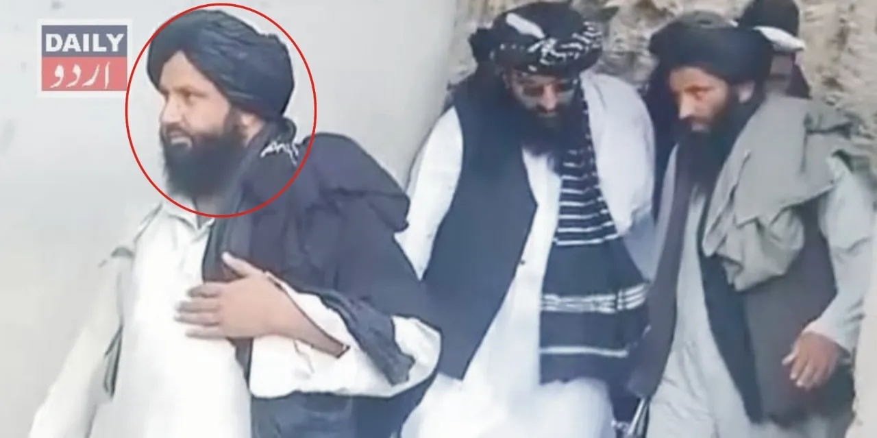 دہشتگردی