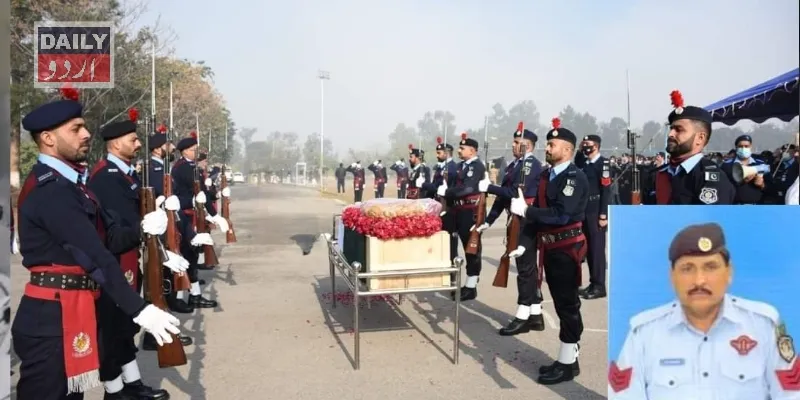 دہشتگردی