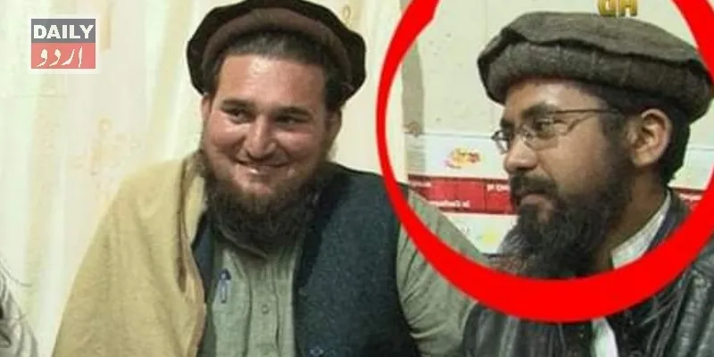 دہشتگردی