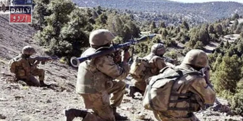 دہشتگردی