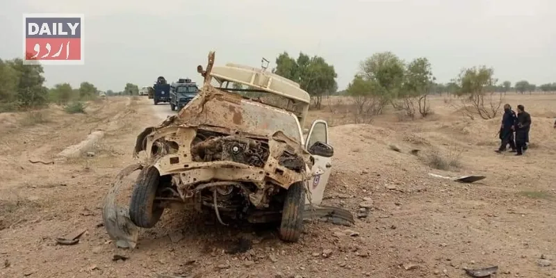 دہشتگردی