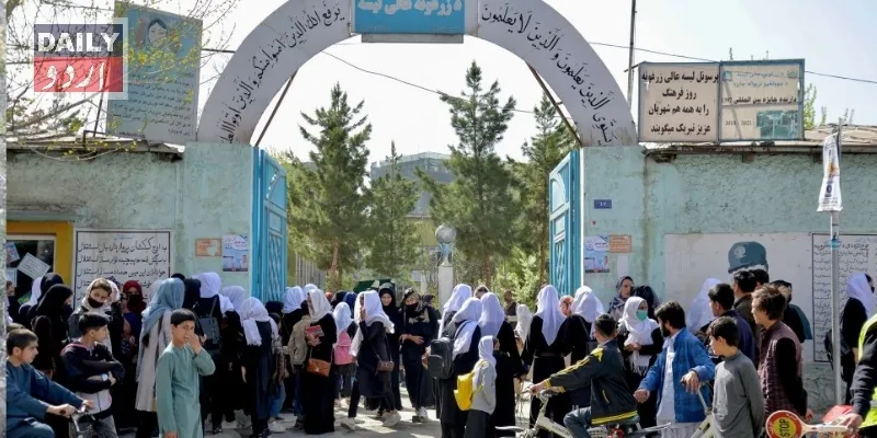 تعلیم