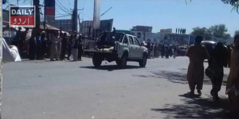 دہشتگردی