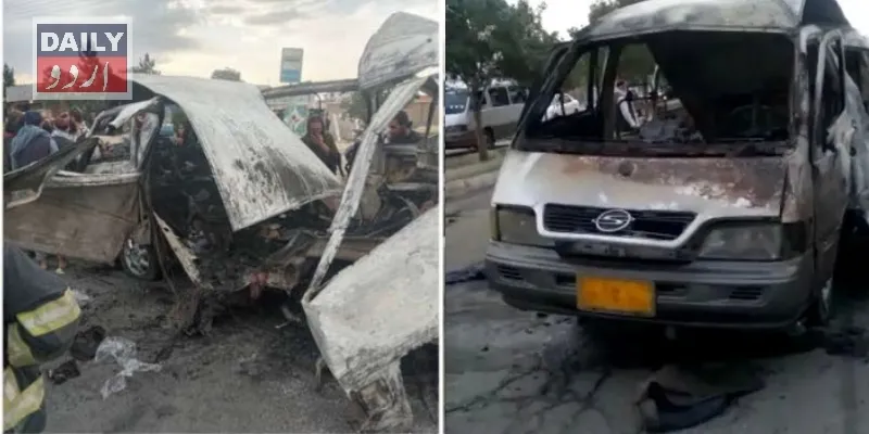 دہشتگردی