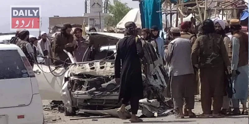 دہشتگردی