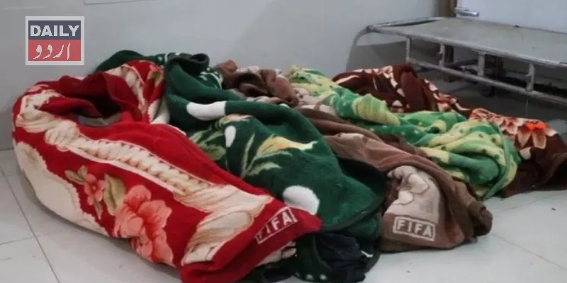 دہشتگردی