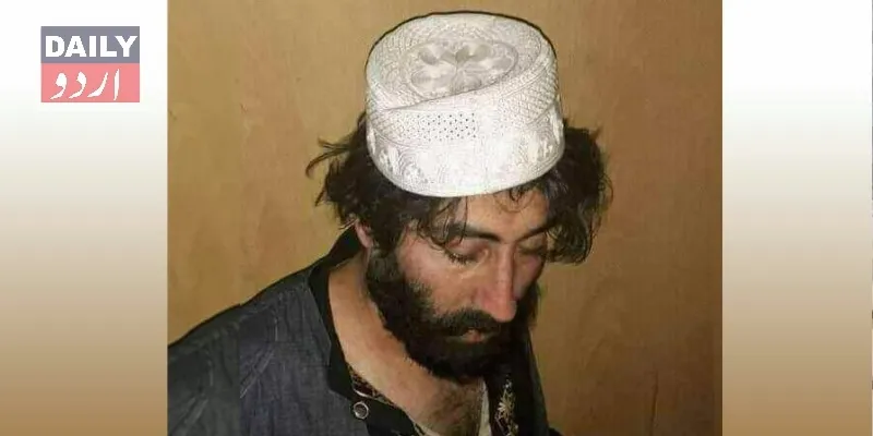 دہشتگردی