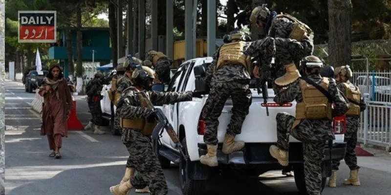 کرائمز
