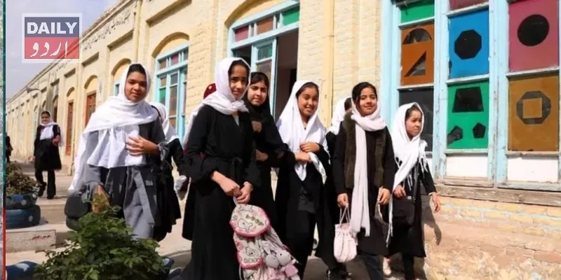 تعلیم