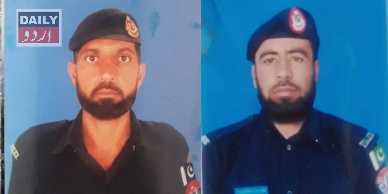 دہشتگردی