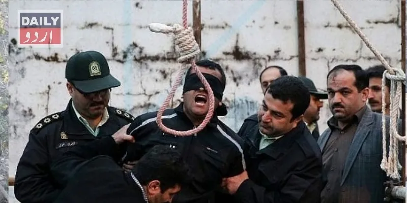 کرائمز