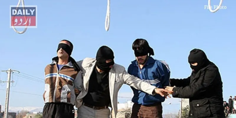کرائمز