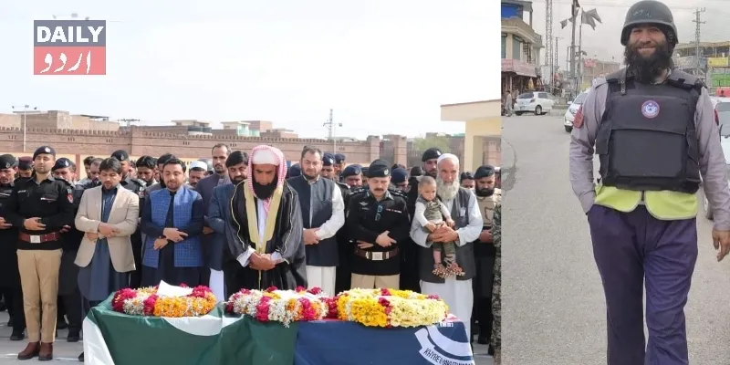 دہشتگردی
