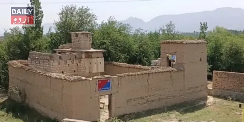 دہشتگردی