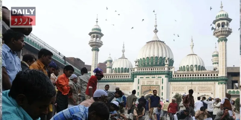 کورٹس