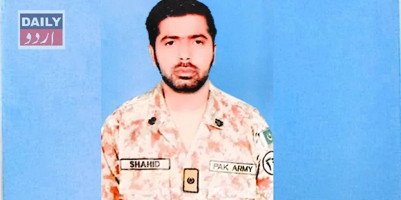 دہشتگردی