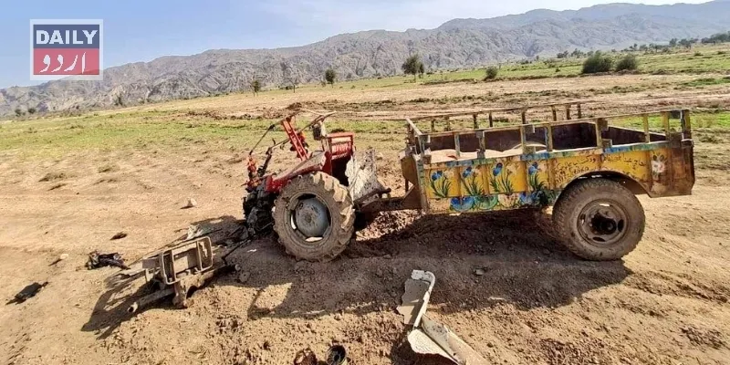 دہشتگردی