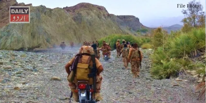 دہشتگردی