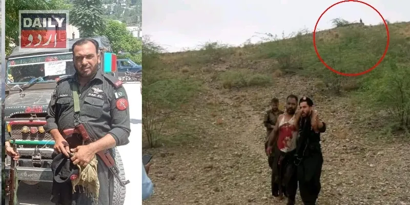 دہشتگردی
