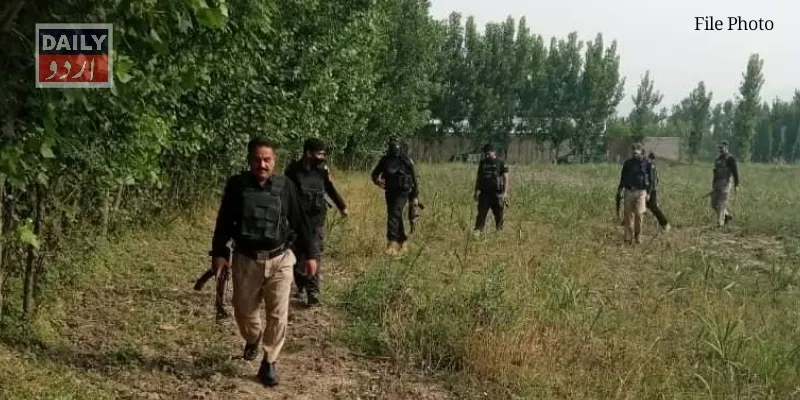 دہشتگردی