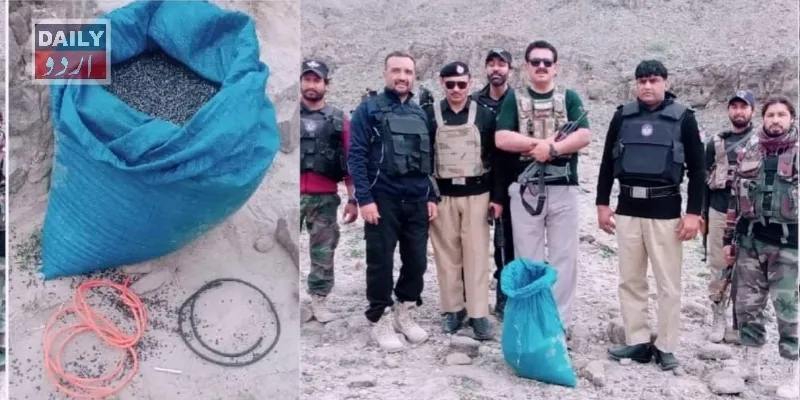 دہشتگردی