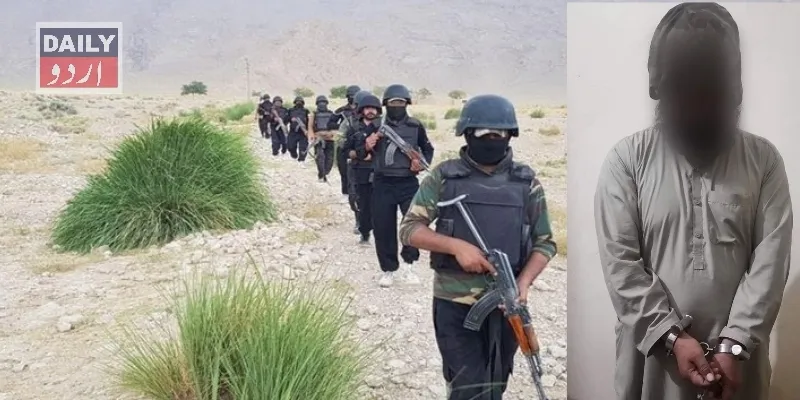 دہشتگردی