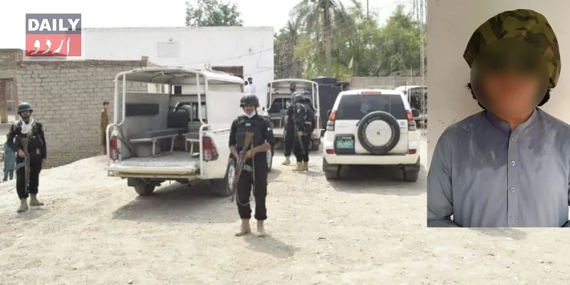دہشتگردی