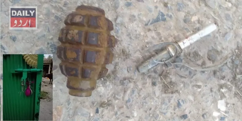 دہشتگردی