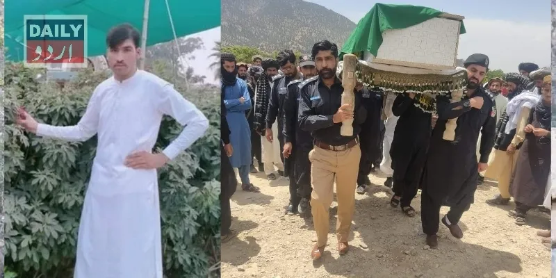 دہشتگردی
