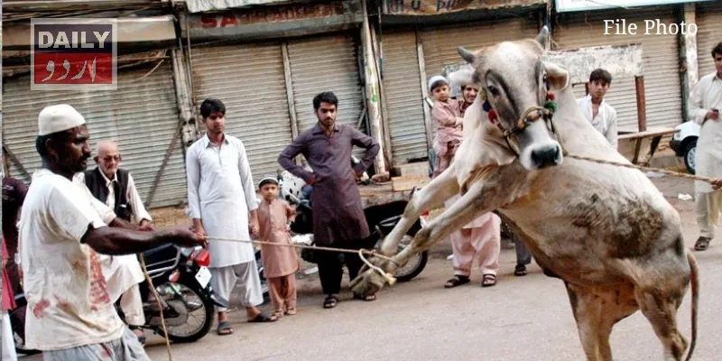 کرائمز