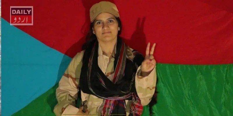 دہشتگردی