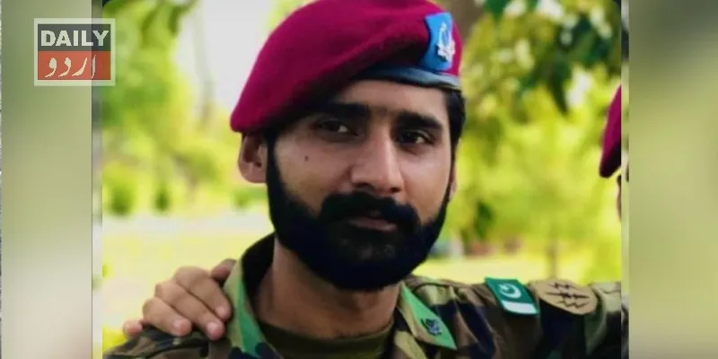 دہشتگردی