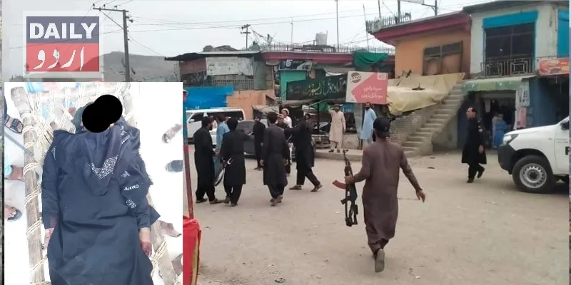 دہشتگردی