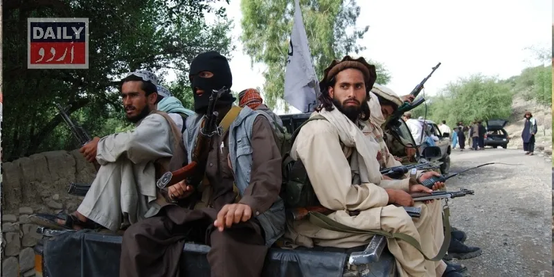 دہشتگردی