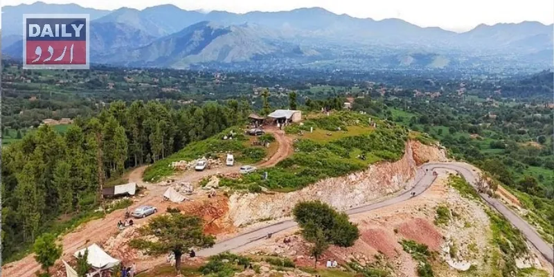 دہشتگردی